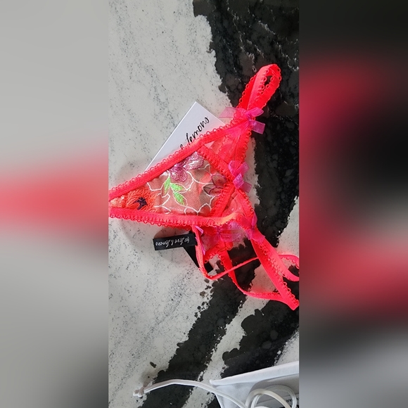 For love and lemons shimmer zinia - Picture 4 of 5